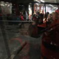 /album/fotogalerij/img-0251-jpg/